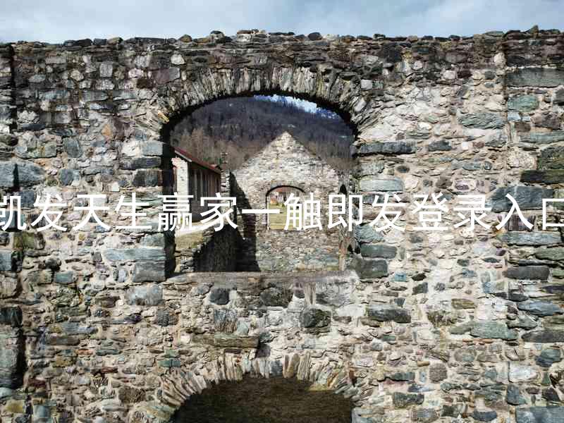 凯发天生赢家一触即发登录入口