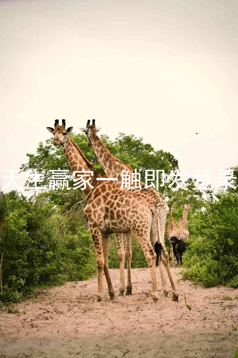 凯发天生赢家一触即发登录入口